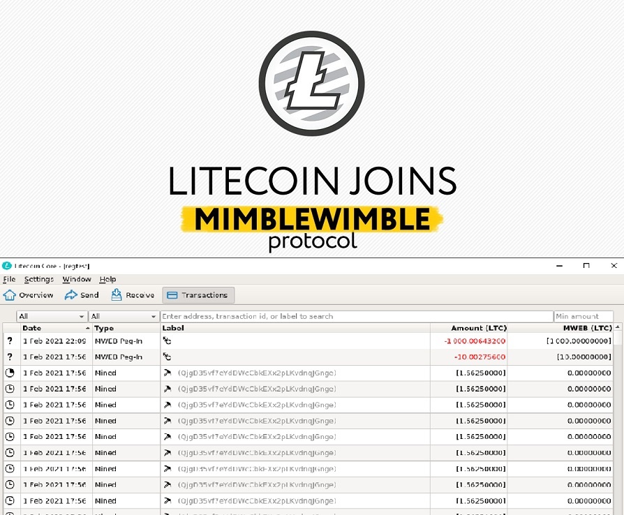 Mimblewimble MWEB integration in Litecoin LTC