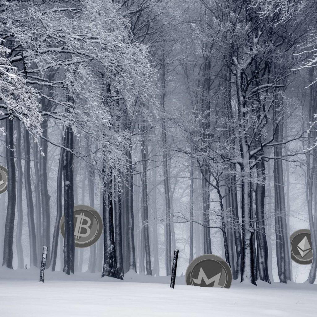 Cryptowinter. Main Causes and Consequences for Bitcoin