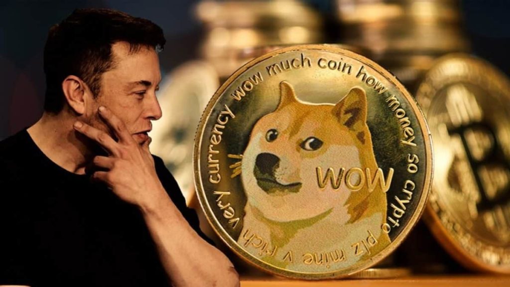 Dogecoin Wallets. Какой кошелек DOGE лучший?